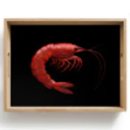 Garnaal - Rood - Dieren Dienblad Rechthoek middel -z3d_shopping
