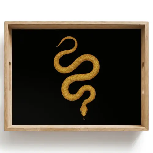 Slang - Minimalistisch - Goud Dienblad Rechthoek middel -z3d_shopping