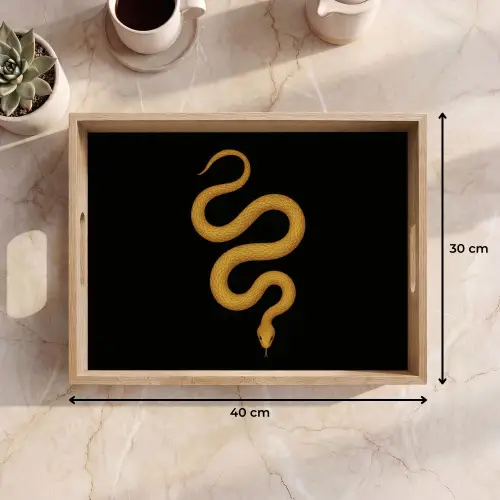 Slang - Minimalistisch - Goud Dienblad Rechthoek middel -USP_Formaat