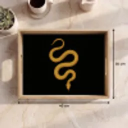 Slang - Minimalistisch - Goud Dienblad Rechthoek middel -USP_Formaat
