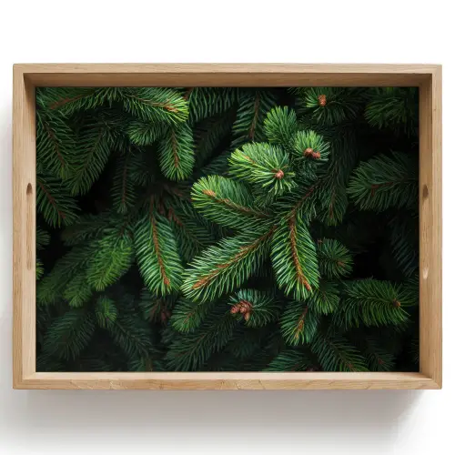 Sparrentakken - Knoppen - Naalden - Groen Dienblad Rechthoek middel -z3d_shopping