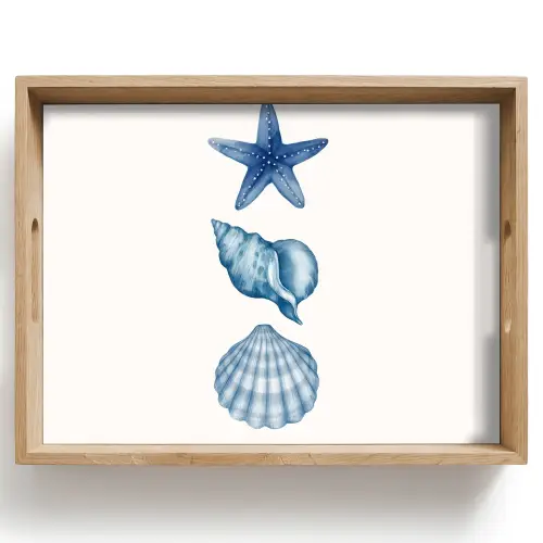 Zeester - Schelpen - Blauw Dienblad Rechthoek middel -z3d_shopping