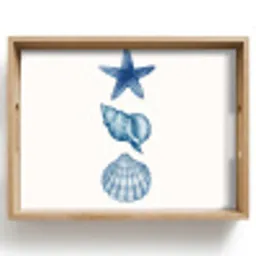 Zeester - Schelpen - Blauw Dienblad Rechthoek middel -z3d_shopping