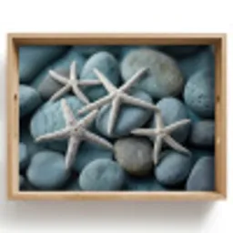 Zeesterren - Stenen - Wit Dienblad Rechthoek middel -z3d_shopping