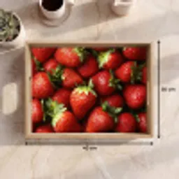 Aardbei - Fruit - Rood Dienblad Rechthoek middel -USP_Formaat