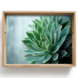 Vetplant - Bladeren - Groen - Wazig Dienblad Rechthoek middel -z3d_shopping
