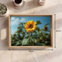 Zonnebloemen - Helderblauwer lucht - Gras Dienblad Rechthoek middel -USP_Formaat