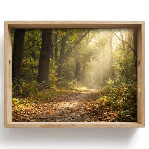 Zonlicht - Bospad - Bomen Dienblad Rechthoek middel -z3d_shopping