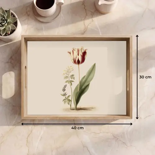 Tulp - Minimalistisch - Beige Dienblad Rechthoek middel -USP_Formaat