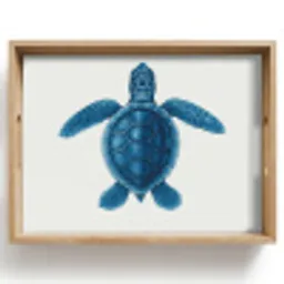 Schildpad - Blauw - Schild Dienblad Rechthoek middel -z3d_shopping