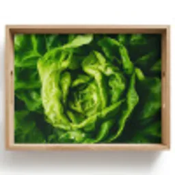 Groente - Sla - Groen Dienblad Rechthoek middel -z3d_shopping
