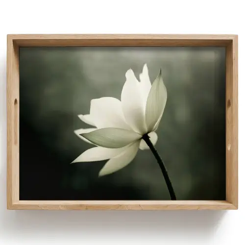 Wit - Lotus - Donker - Bloem Dienblad Rechthoek middel -z3d_shopping