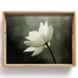 Wit - Lotus - Donker - Bloem Dienblad Rechthoek middel -z3d_shopping