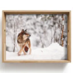 Wolf - Winter - Sneeuw - Natuur - Dieren Dienblad Rechthoek middel -z3d_shopping