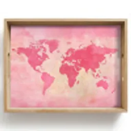 Wereldkaart - Roze - Vaag Dienblad Rechthoek middel -z3d_shopping