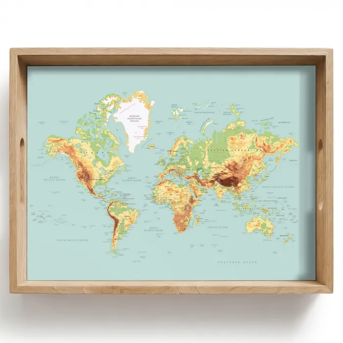 Wereldkaart - Realistisch - Blauw Dienblad Rechthoek middel -z3d_shopping