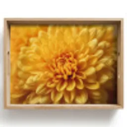 Geel - Chrysant - Zachtheid Dienblad Rechthoek middel -z3d_shopping