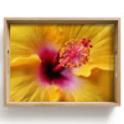 Geel - Hibiscus - Tropisch Dienblad Rechthoek middel -z3d_shopping