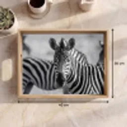 Zebra's - Zwart - Wit Dienblad Rechthoek middel -USP_Formaat
