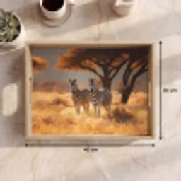 Zebra's - Savannelandschap - Gras Dienblad Rechthoek middel -USP_Formaat