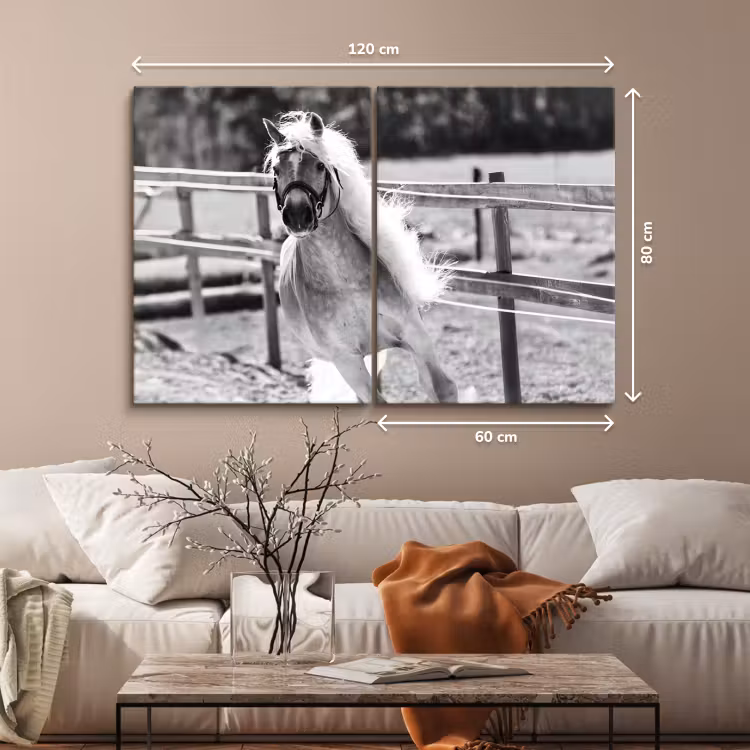 Canvas diptych - 120x80 cm — 2