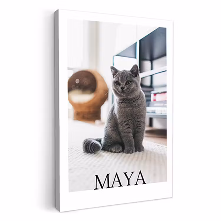 Canvas - Magazine — 1