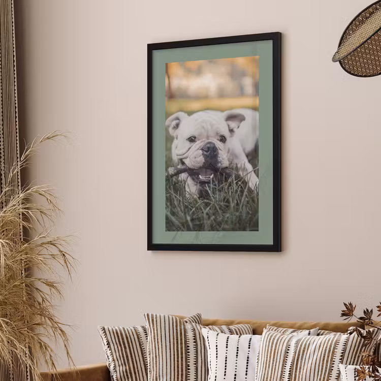 Photo in Frame - Colored Border — 2