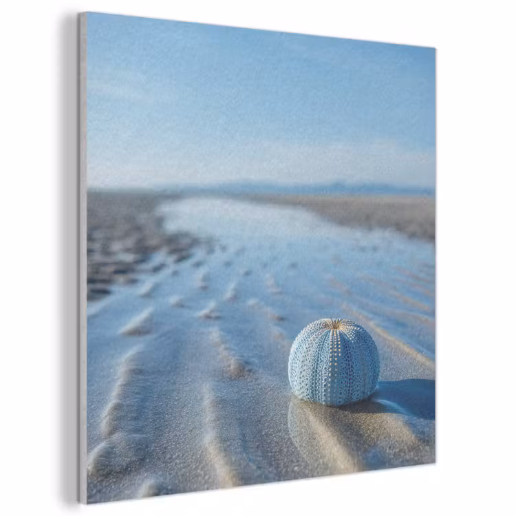 Acoustic Felt - Beach - Shield - Water - Blue — 1