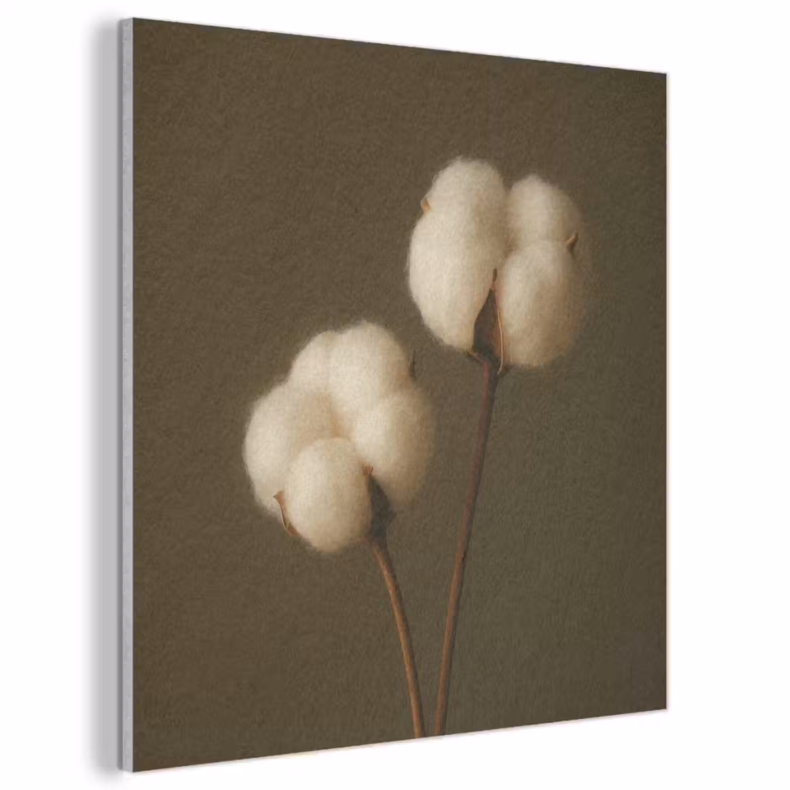 Acoustic Felt - Branches - Cotton - White - Spheres — 1