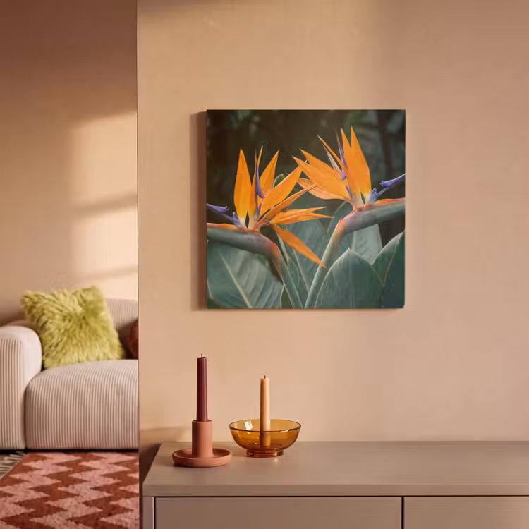 Acoustic Felt - Bird of paradise - Flower - Exotic — 2