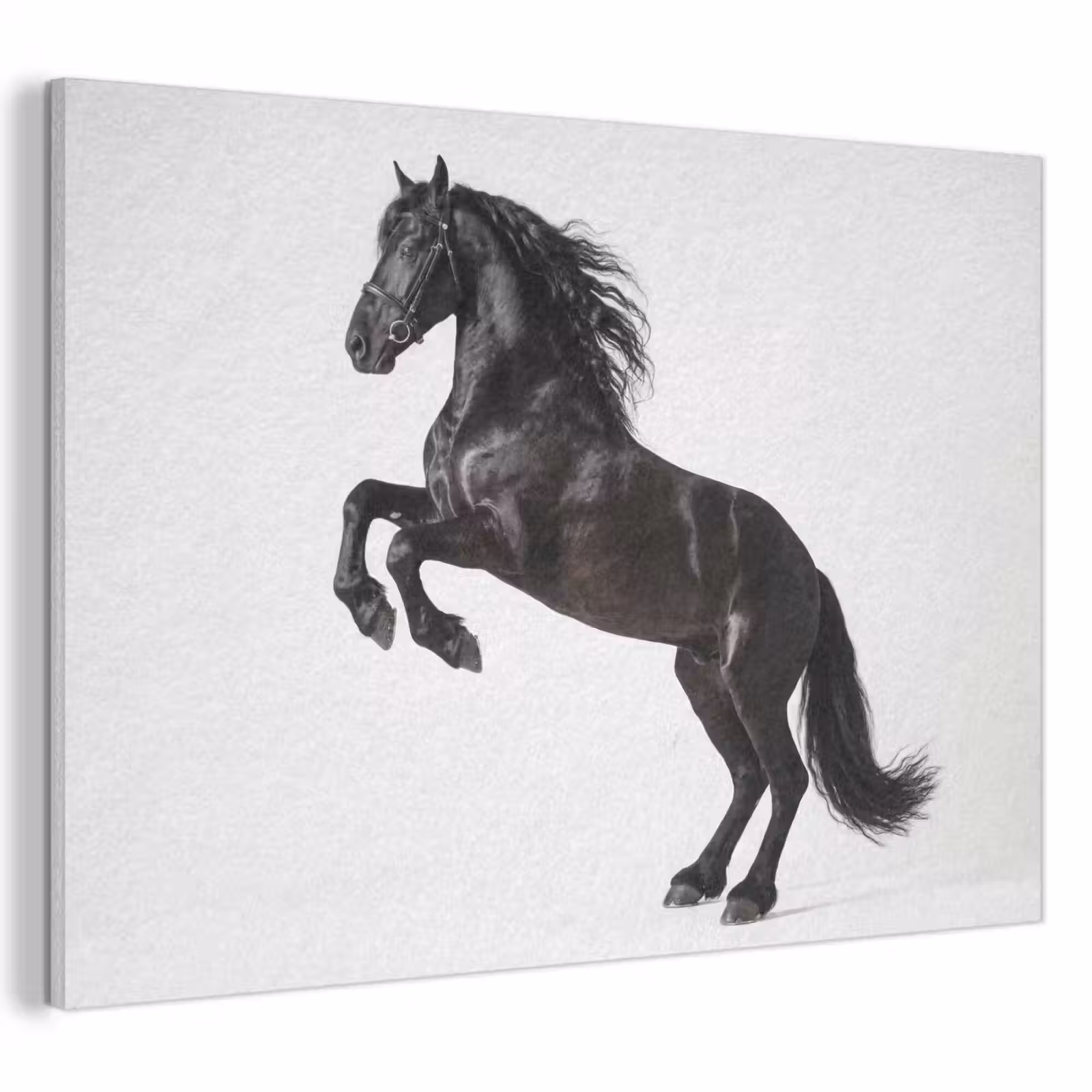Acoustic Felt - Black - Horse - Portrait — 1