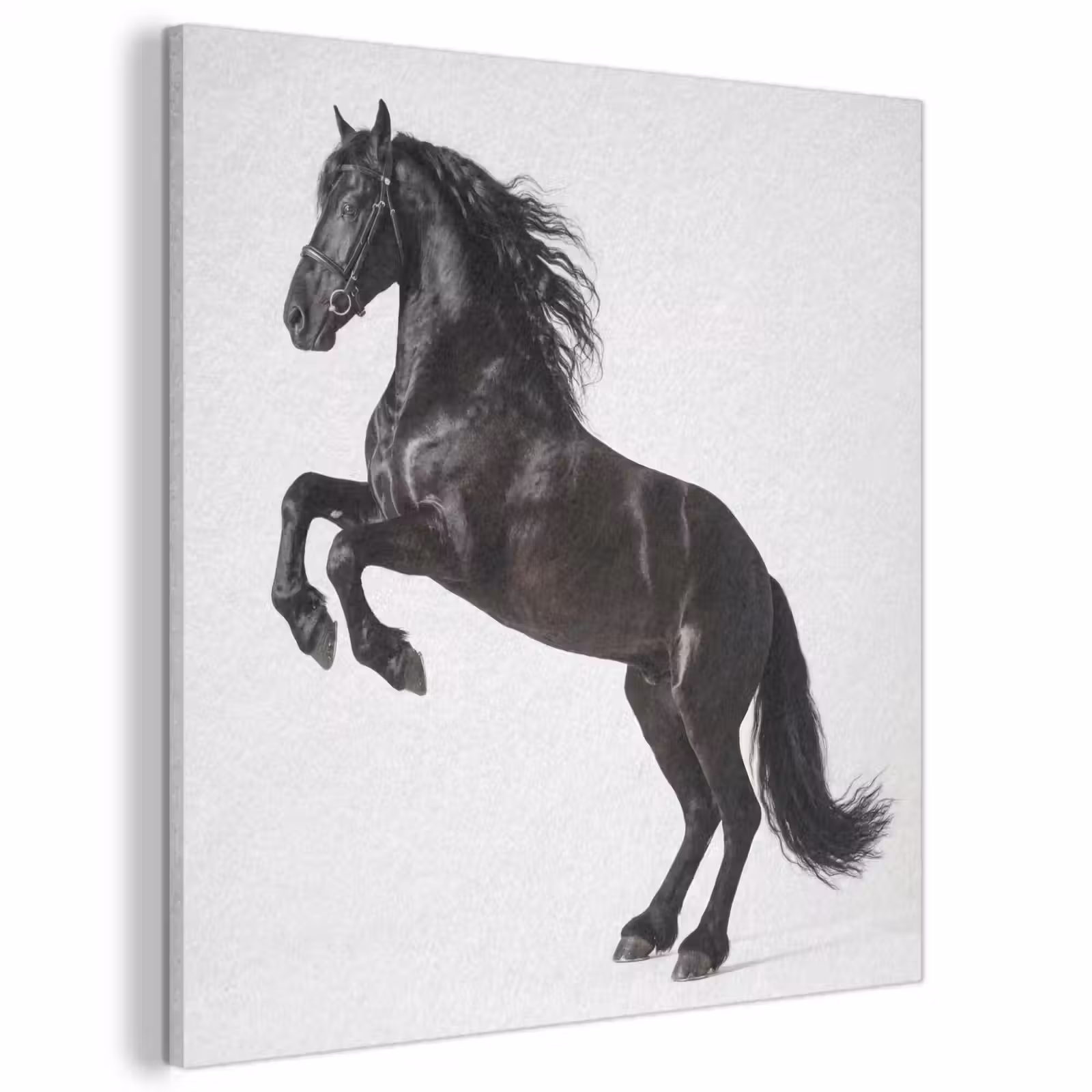 Acoustic Felt - Black - Horse - Portrait — 1