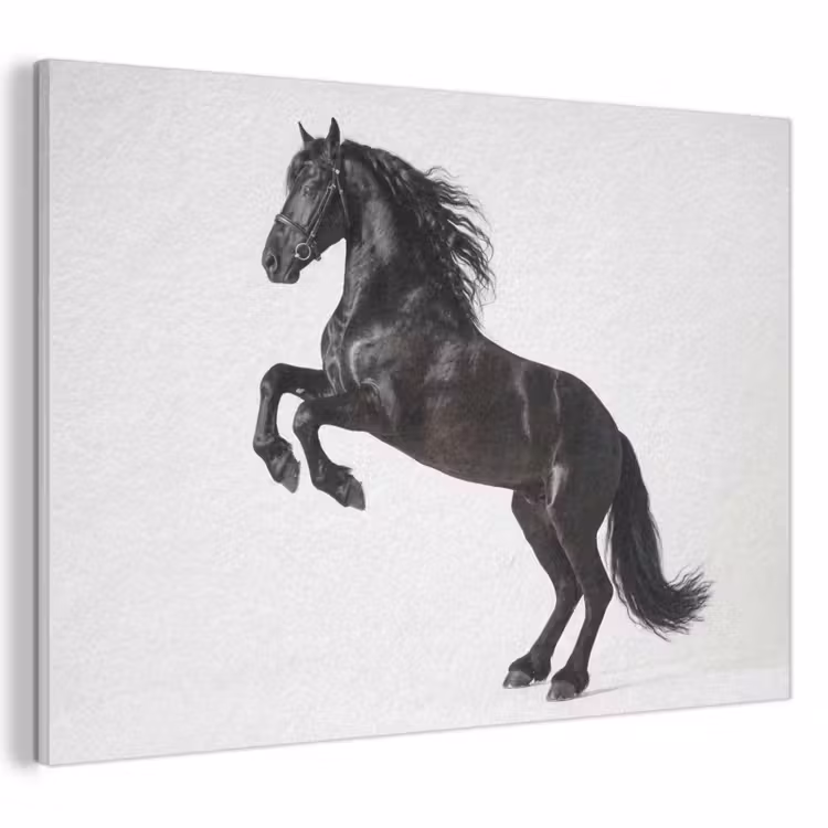 Acoustic Felt - Black - Horse - Portrait — 1
