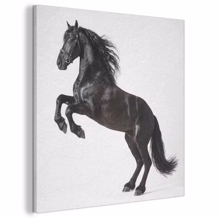 Acoustic Felt - Black - Horse - Portrait — 1