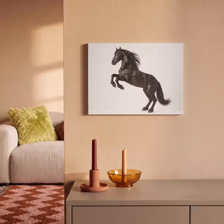 Acoustic Felt - Black - Horse - Portrait — 2