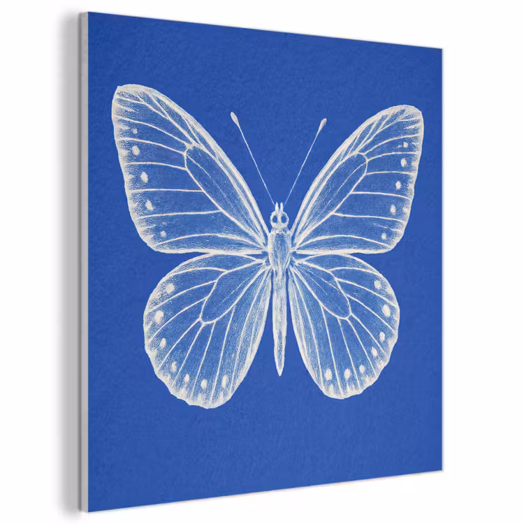 Acoustic Felt - Butterfly - White - Drawn - Dots — 1