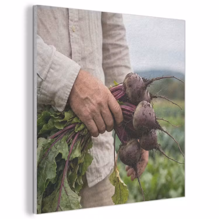 Acoustic Felt - Beets - Fresh - Kitchen Garden — 1