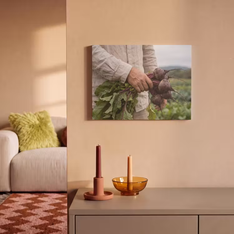 Acoustic Felt - Beets - Fresh - Kitchen Garden — 2