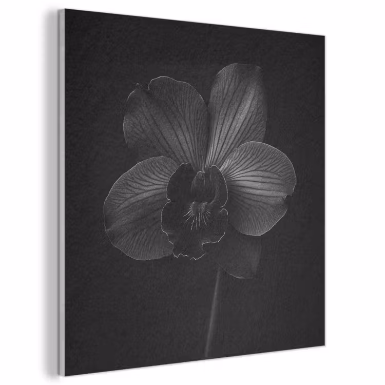 Acoustic Felt - Black - Flower - Orchid — 1