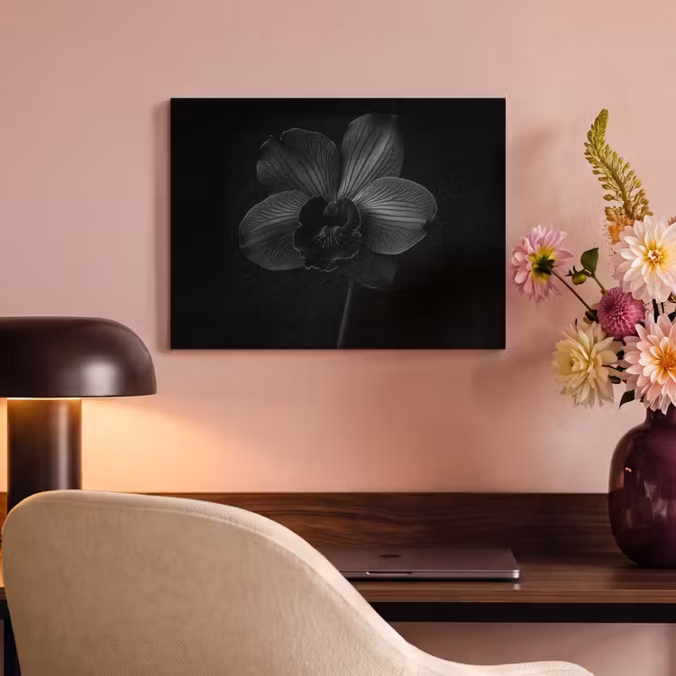 Acoustic Felt - Black - Flower - Orchid — 4