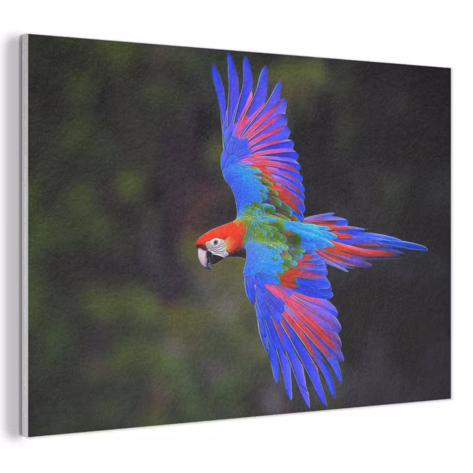 Acoustic Felt - Brightly colored - Parrot - Forest - Wings — 1