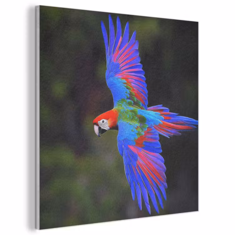Acoustic Felt - Brightly colored - Parrot - Forest - Wings — 1