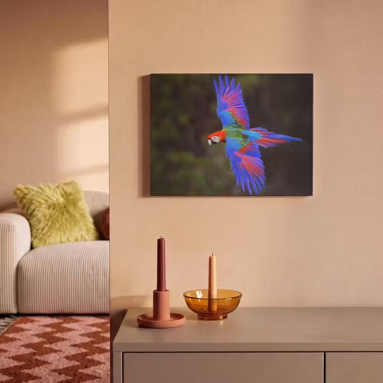 Acoustic Felt - Brightly colored - Parrot - Forest - Wings — 2