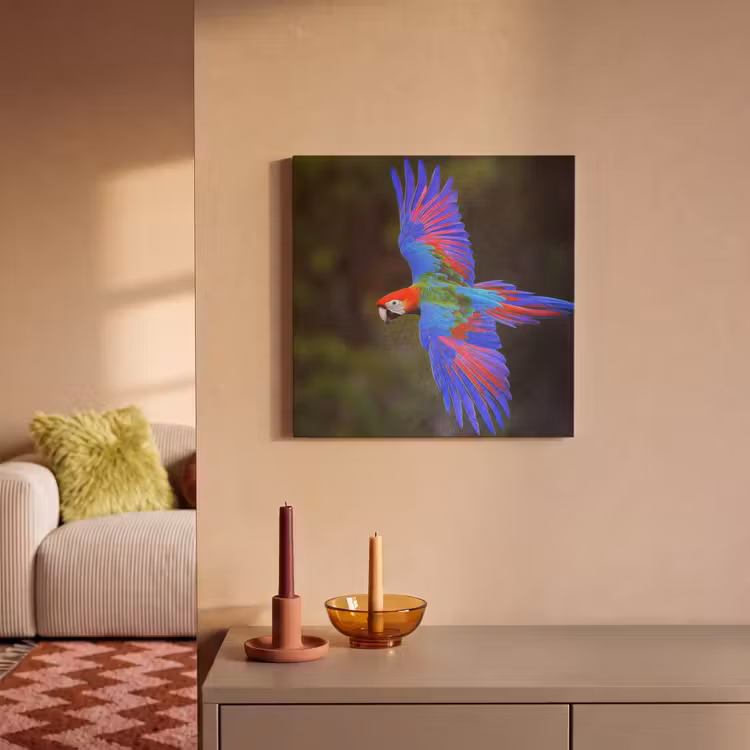 Acoustic Felt - Brightly colored - Parrot - Forest - Wings — 2