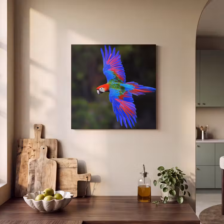 Acoustic Felt - Brightly colored - Parrot - Forest - Wings — 3