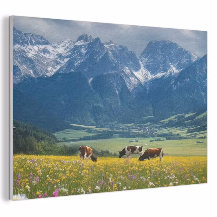 Acoustic Felt - Alps - Meadow - Mountains - Cows — 1