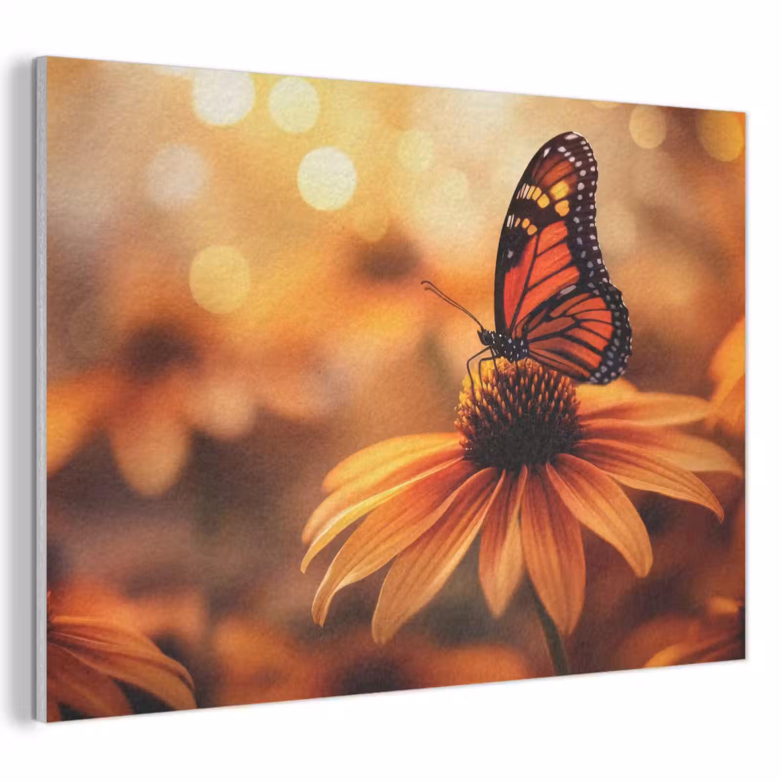 Acoustic Felt - Butterfly - Flowers - Orange — 1