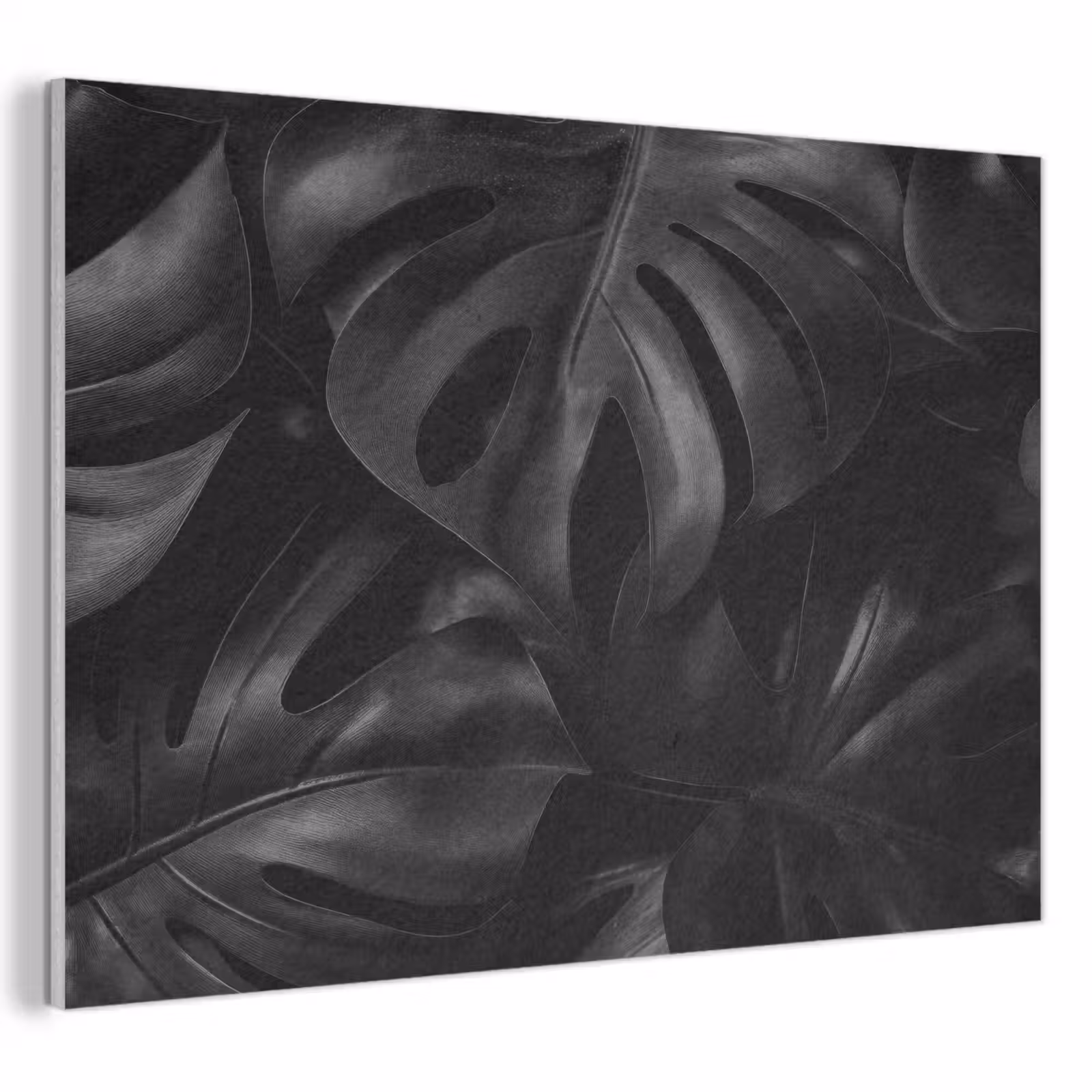 Acoustic Felt - Black - Monstera - Leaves — 1