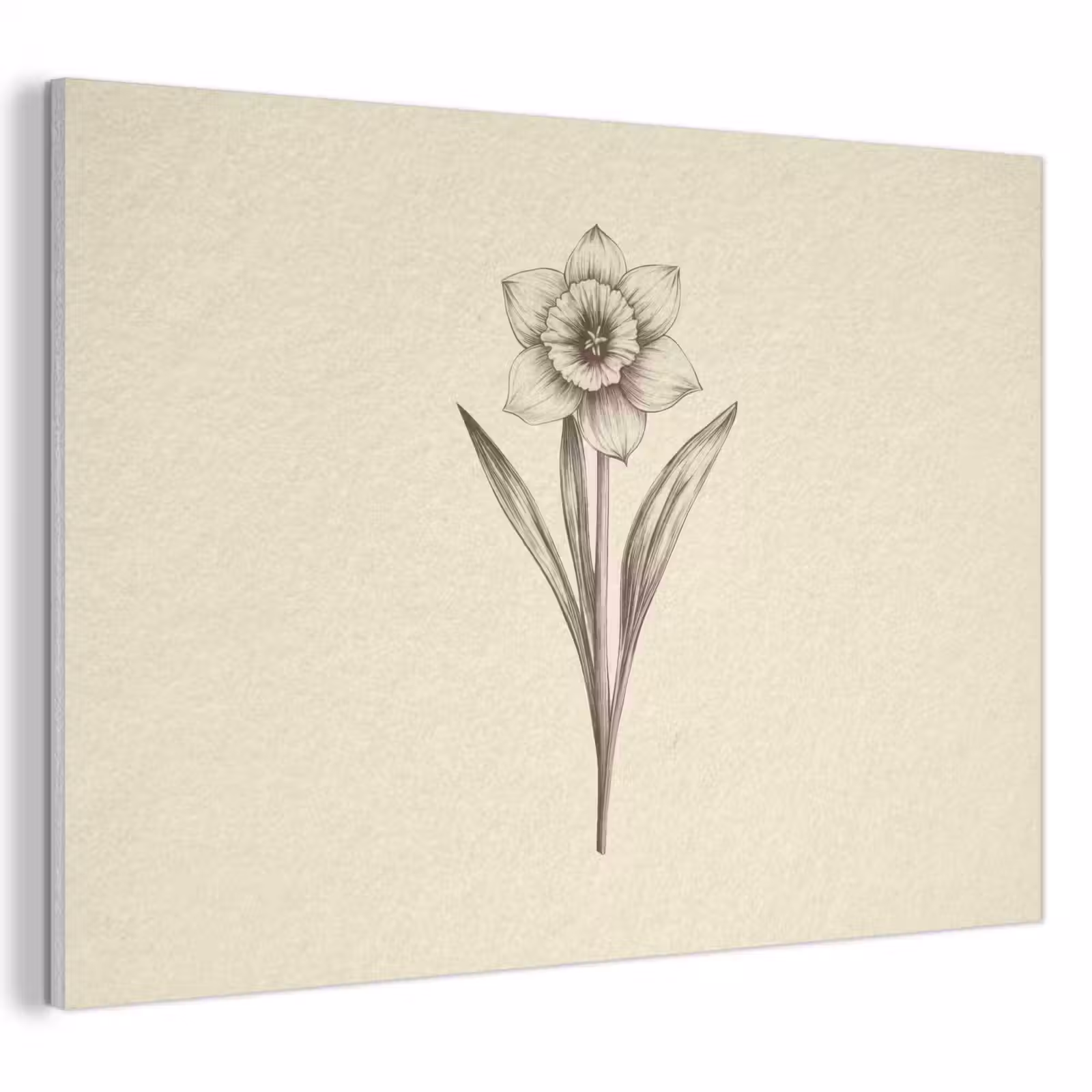 Acoustic Felt - Black - Daffodil - Illustration — 1