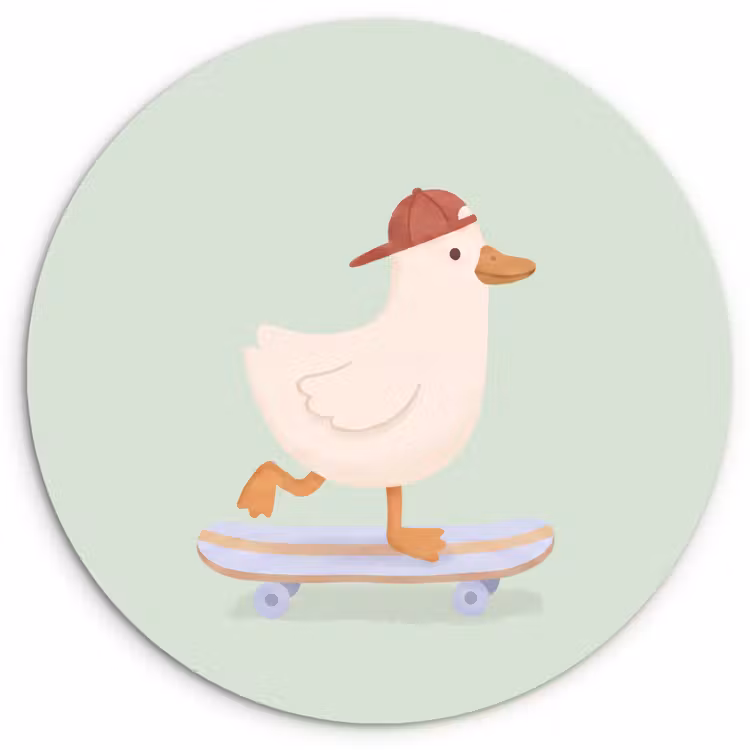 Wall circle - Glass - Bird - Skateboard - Animals - Cartoon - Playful — 1